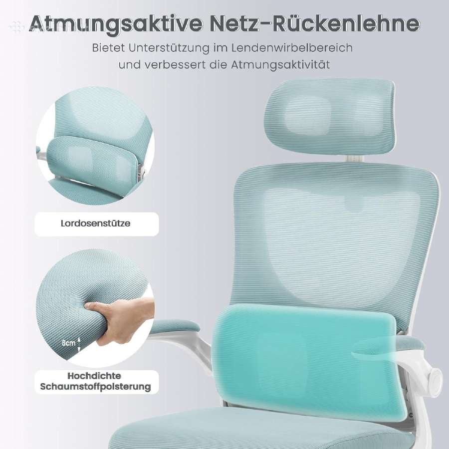 Ergonomiška biuro kėdė su juosmens atrama. - nuotraukos Nr. 6