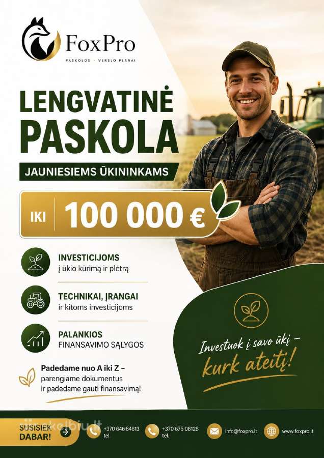 Verslo planaipaskolosinvesticiniai projektai - nuotraukos Nr. 6