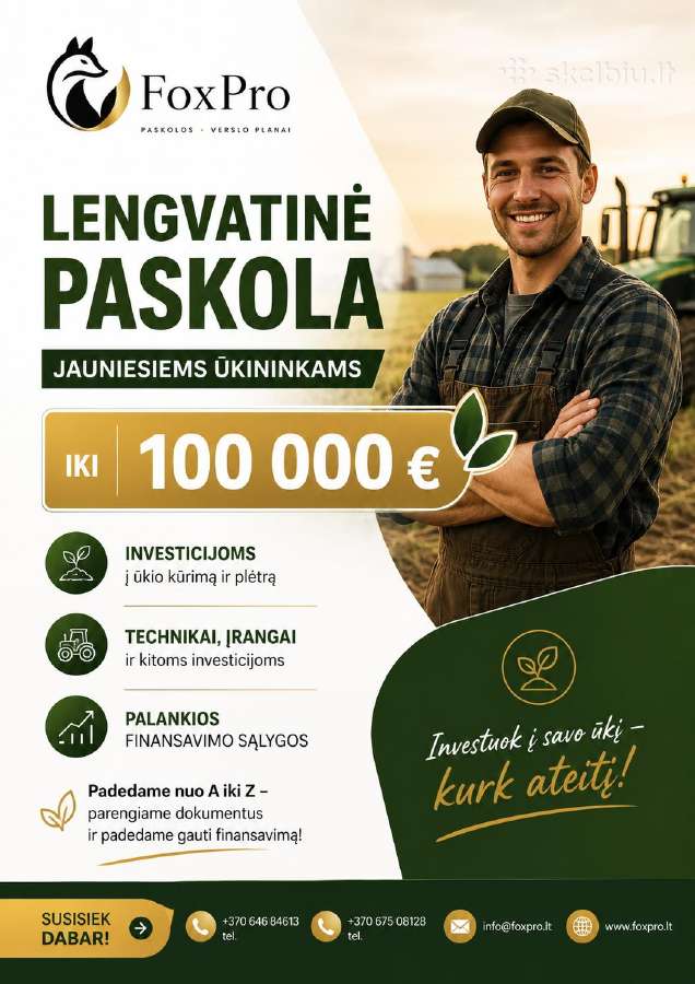 Verslo Planai / Investiciniai Projektai / Paskola - nuotraukos Nr. 7