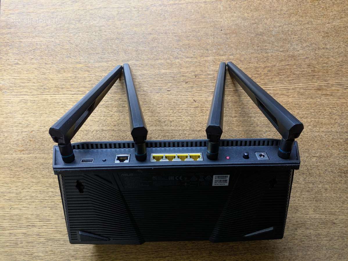 Asus - nuotraukos Nr. 2