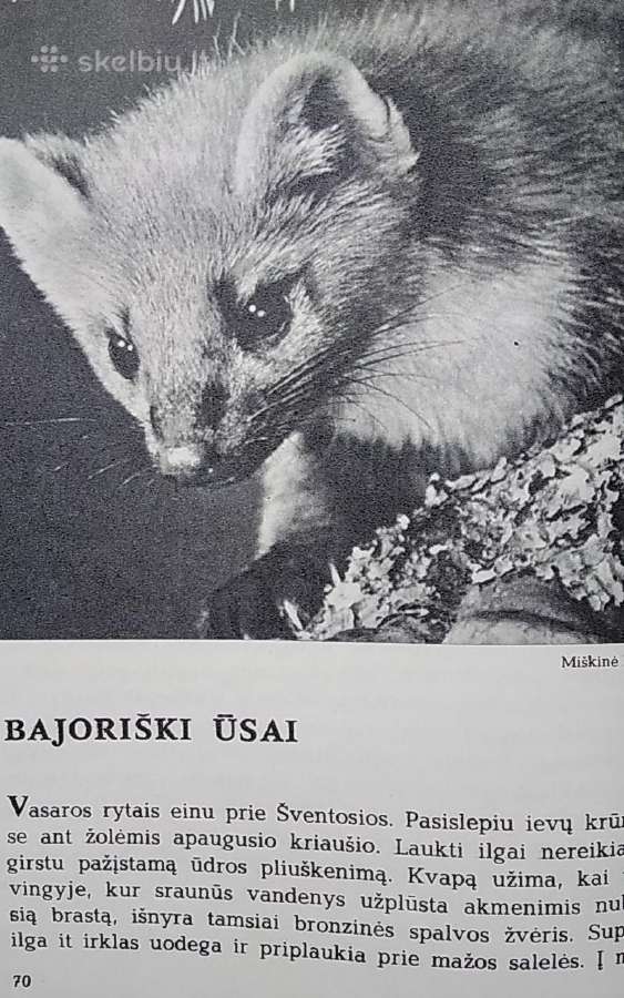 Laiškai iš elnių miško - nuotraukos Nr. 9