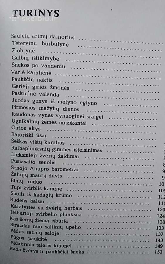 Laiškai iš elnių miško - nuotraukos Nr. 12