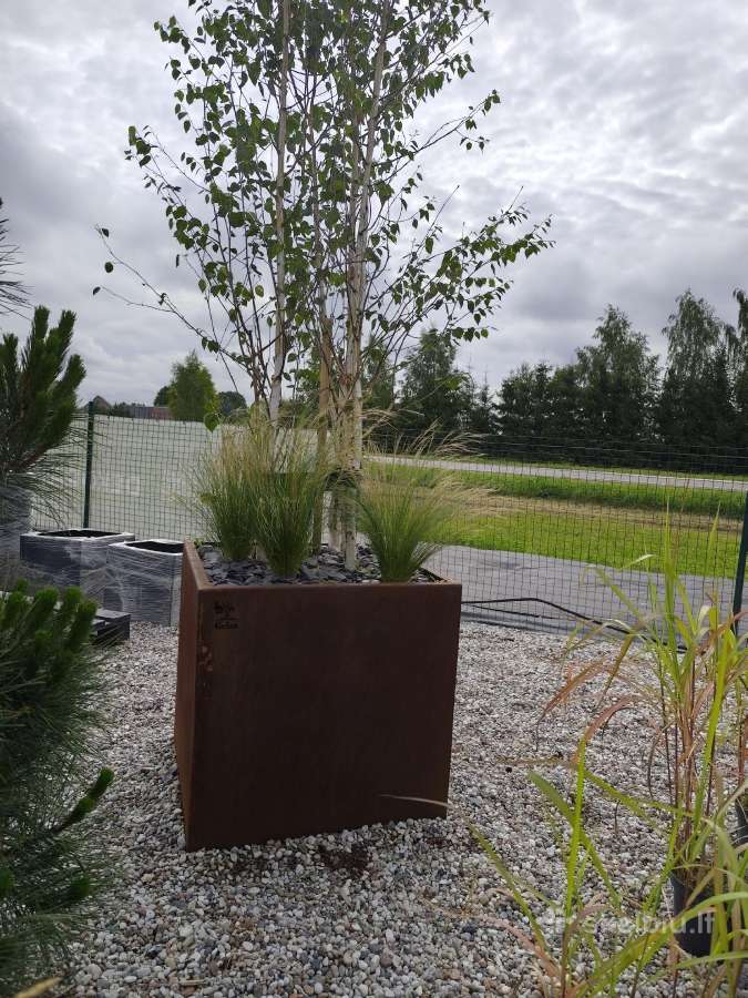 Corten, dažyti metaliniai vazonai - nuotraukos Nr. 5