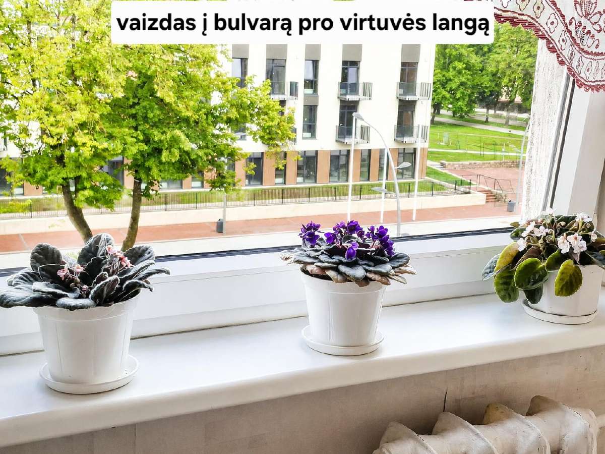 Bulvare 2 Kambarių Butas - nuotraukos Nr. 17
