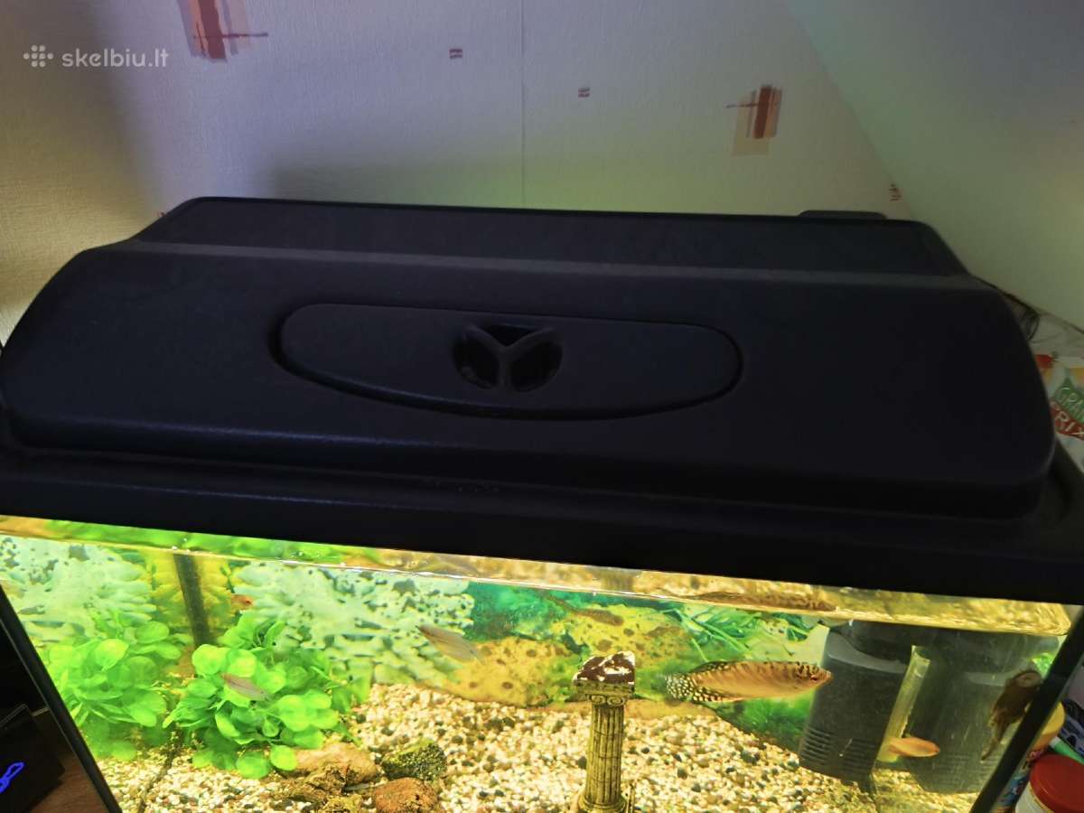 70l. akvariumas - nuotraukos Nr. 3