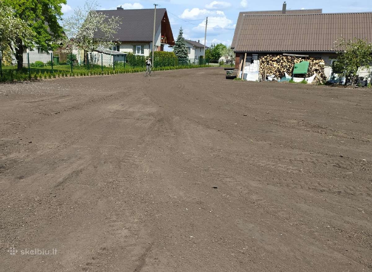 Smaragd tuja - nuotraukos Nr. 21