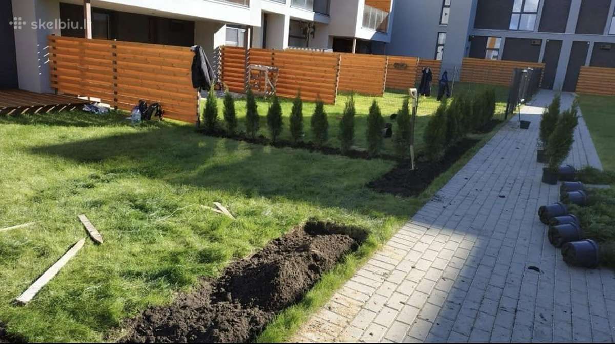 Tuja smaragd - nuotraukos Nr. 10