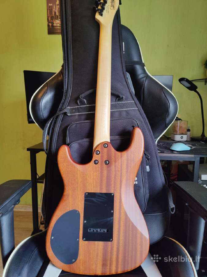 Chapman Ml1 Natural Satin Mahogany - nuotraukos Nr. 2