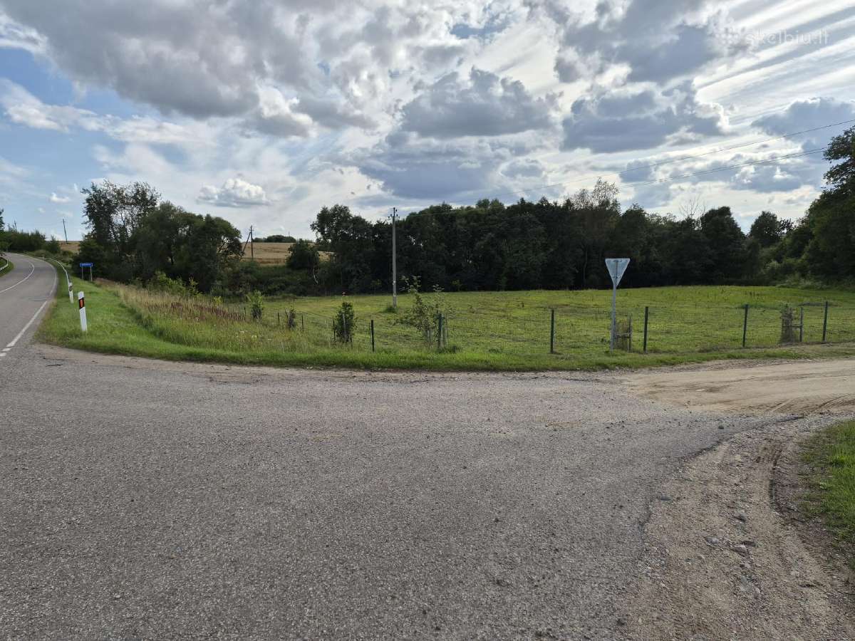 60 arų sklypą prie upelio - nuotraukos Nr. 3