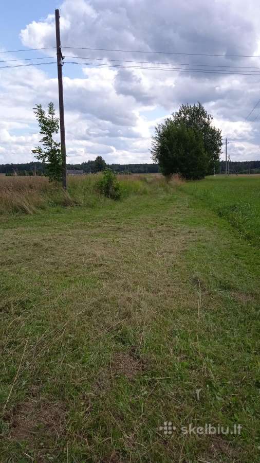 Sklypas, sodyba - nuotraukos Nr. 3