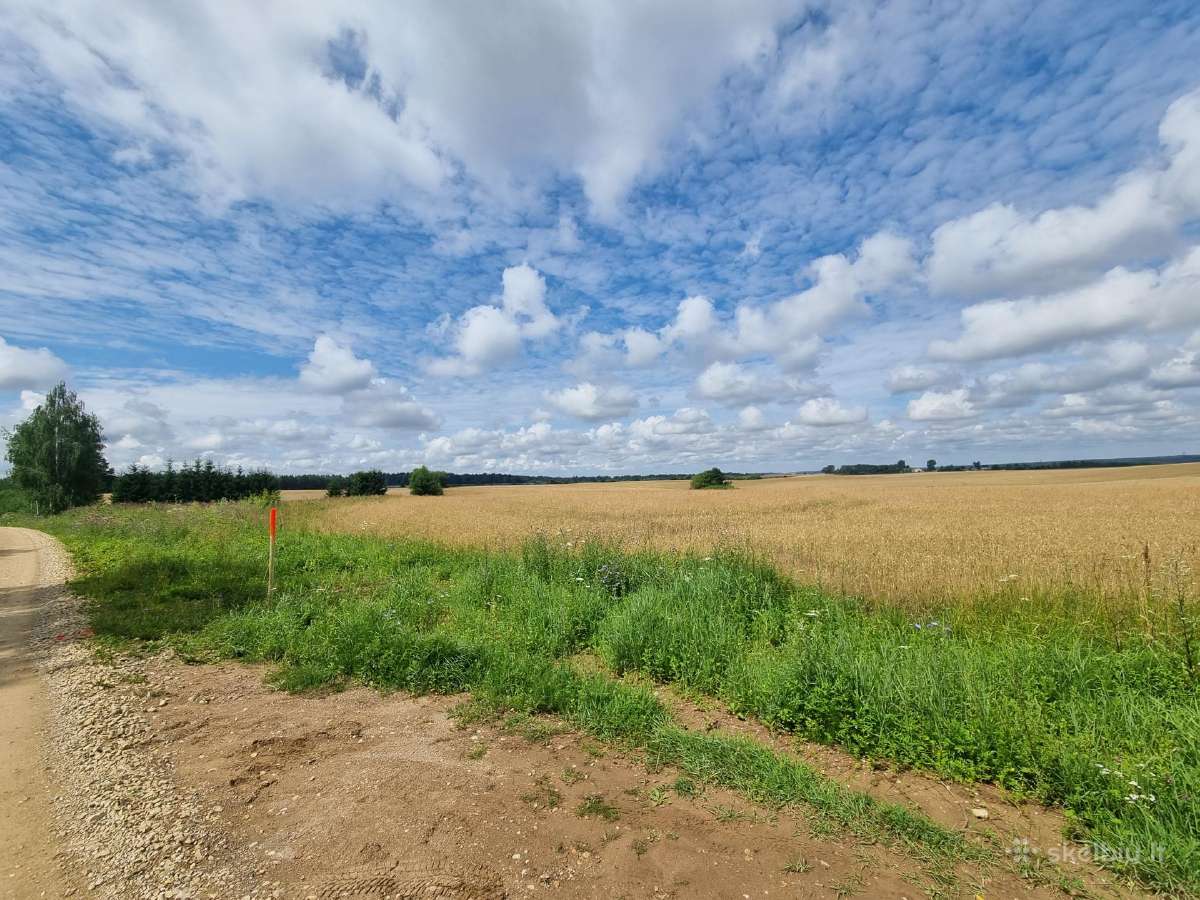 Parduodamas sklypas prie ežero (papildyta info) - nuotraukos Nr. 5