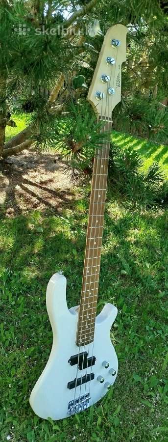 Bosine gitara - nuotraukos Nr. 3