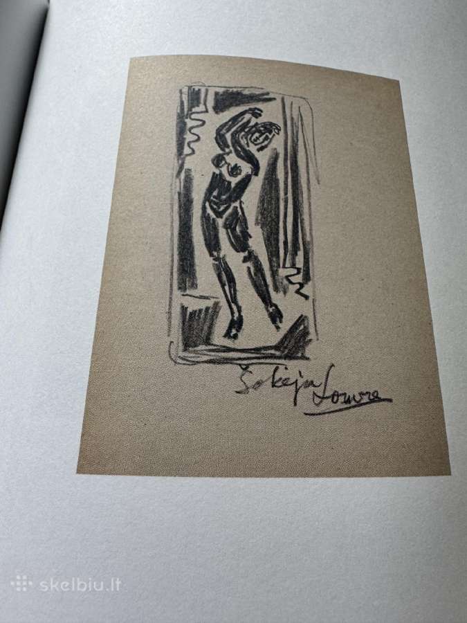 Vytauto Kasiulio,stasio Krasausko.vlado Žiliaus ta - nuotraukos Nr. 6