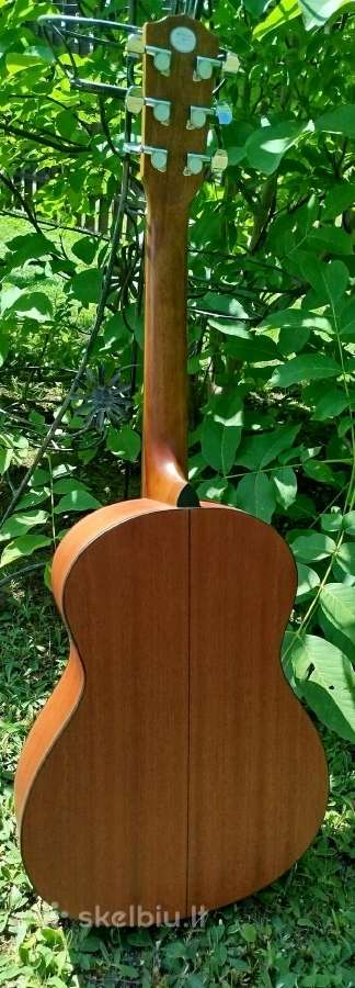 Fender akustine gitara. - nuotraukos Nr. 2
