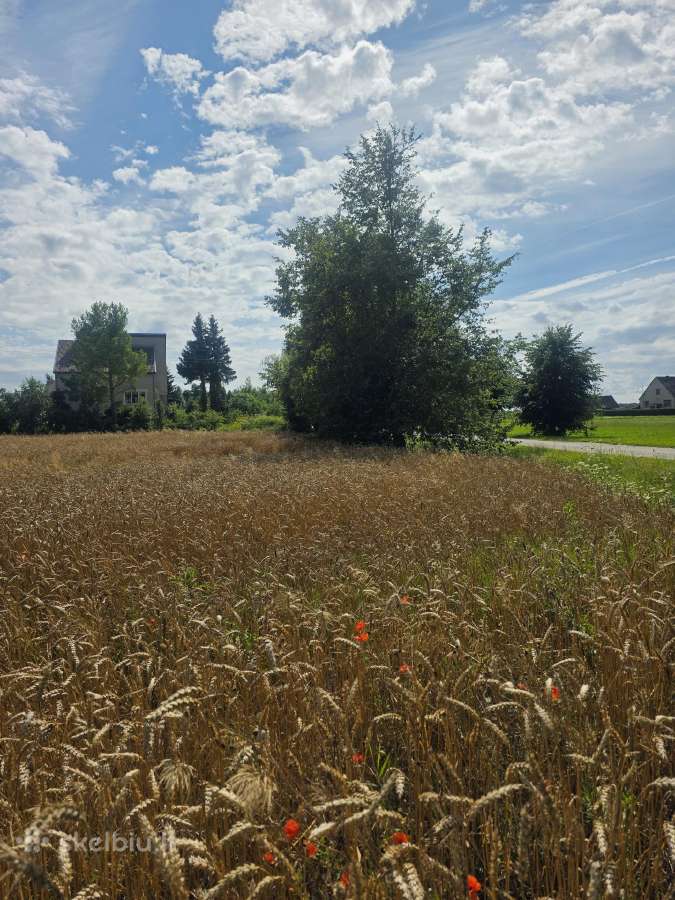 Parduodamas 0,19 ha žemės ūkio paskirties sklypas - nuotraukos Nr. 3
