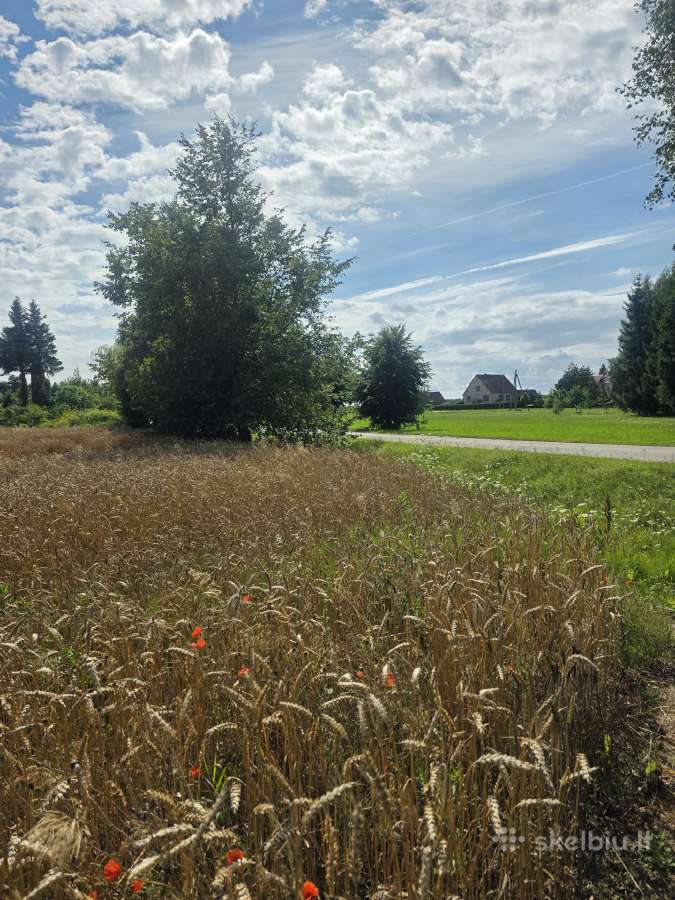Parduodamas 0,19 ha žemės ūkio paskirties sklypas - nuotraukos Nr. 4