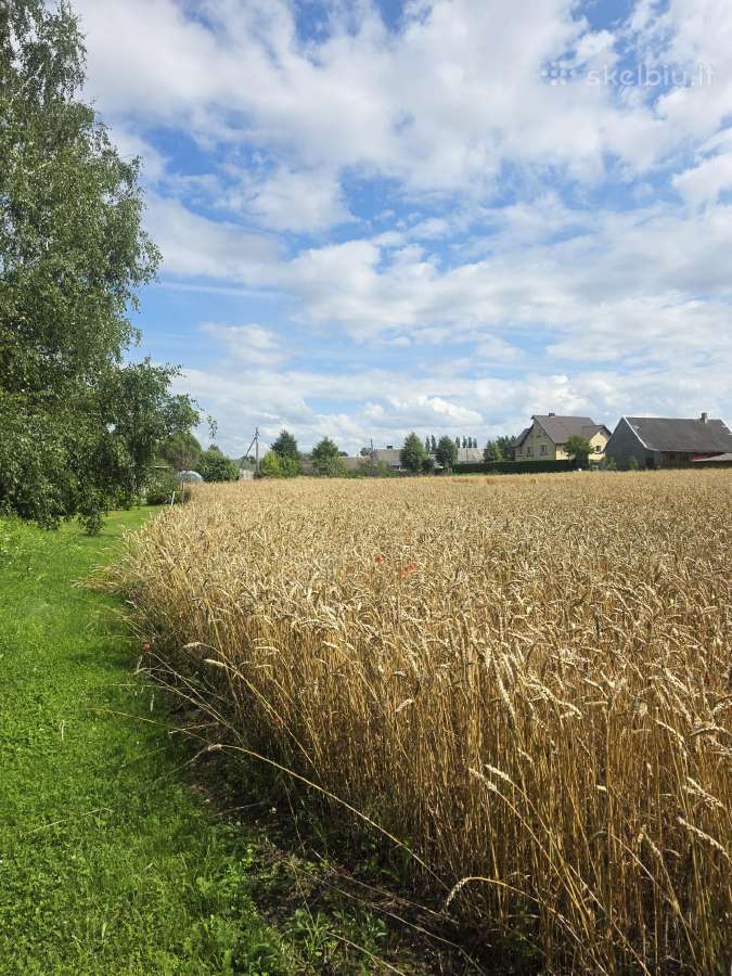 Parduodamas 0,19 ha žemės ūkio paskirties sklypas - nuotraukos Nr. 5