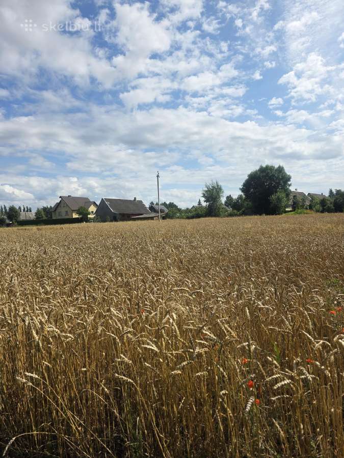 Parduodamas 0,19 ha žemės ūkio paskirties sklypas - nuotraukos Nr. 6
