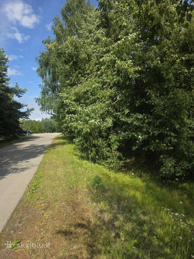 Parduodamas 0,19 ha žemės ūkio paskirties sklypas - nuotraukos Nr. 7