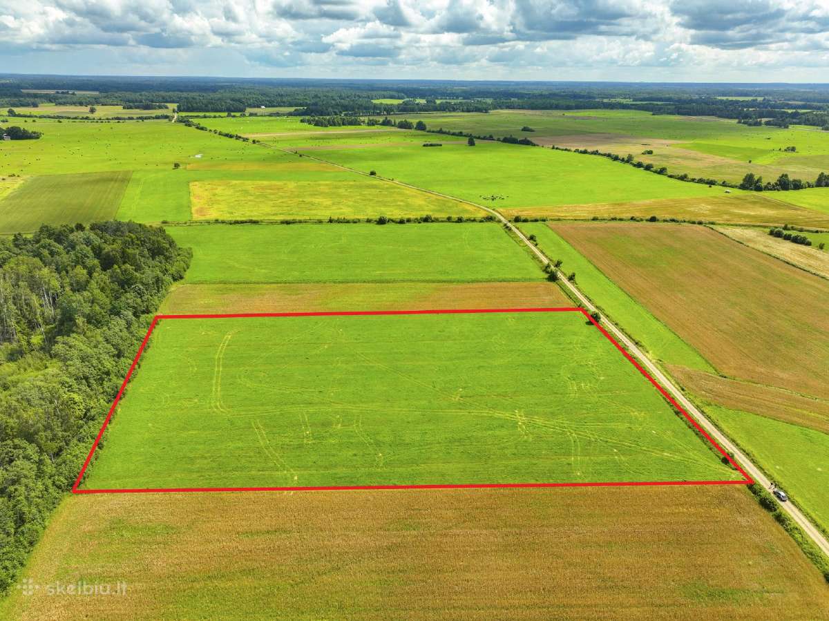 2,58 ha prie Švėkšnos, žemės ūkiui, prižiūrėtas! - nuotraukos Nr. 3