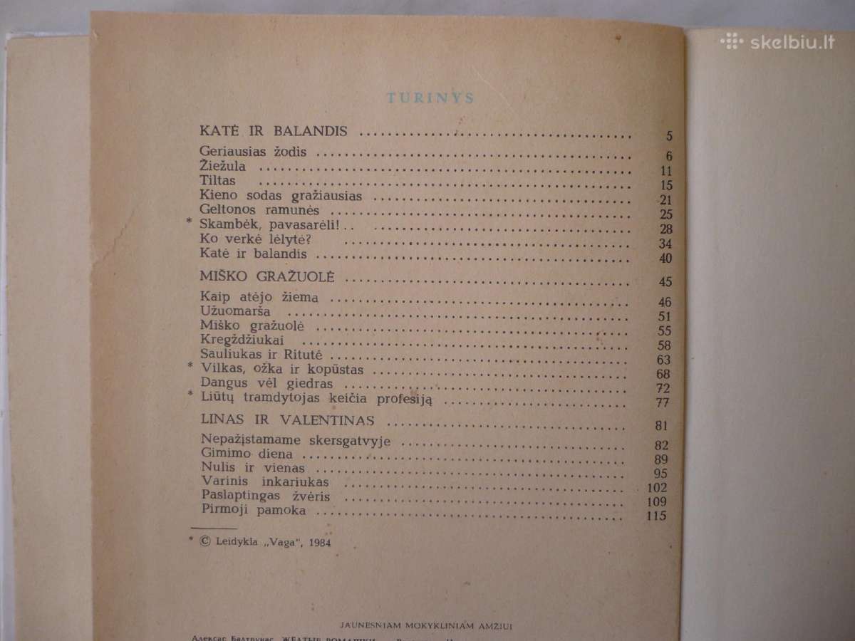 A. Baltrūnas - Geltonos ramunės - nuotraukos Nr. 3