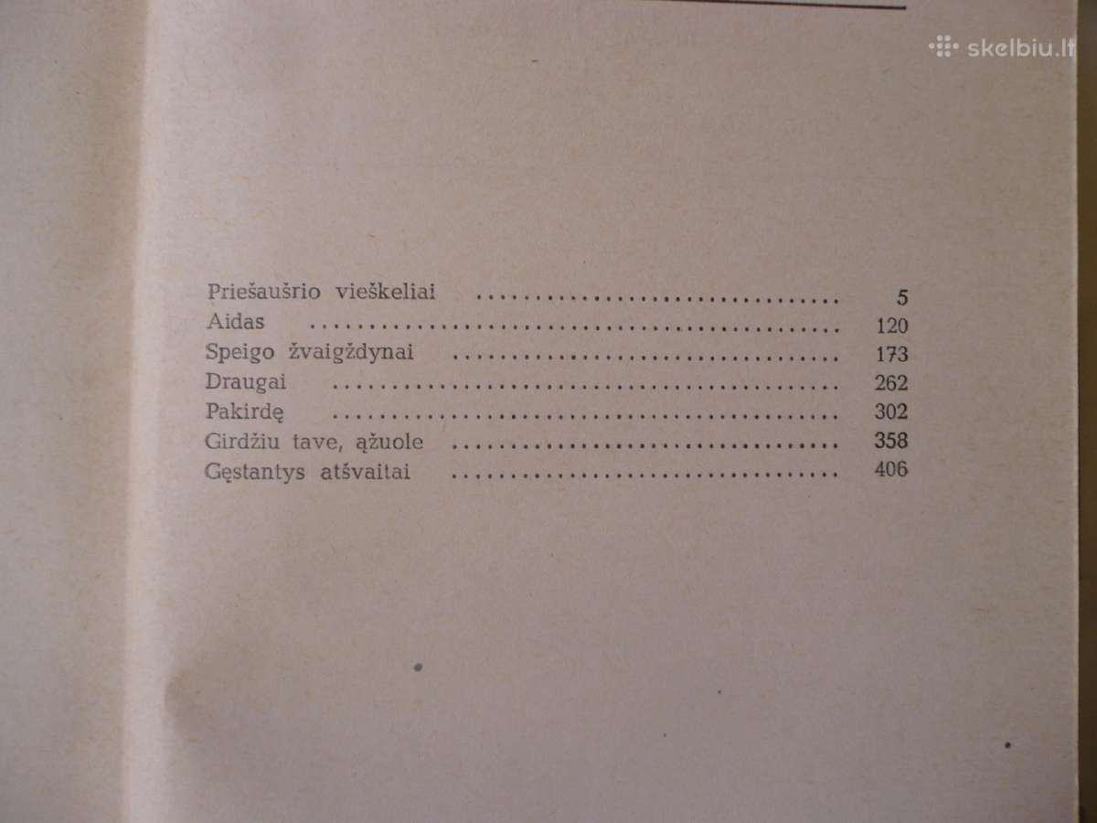 B. Radzevičius - Priešaušrio vieškeliai - nuotraukos Nr. 2
