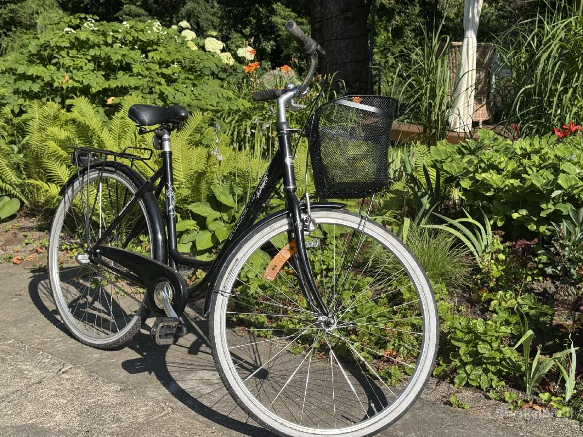 Parduodamas miesto dvirati, 99€ - nuotraukos Nr. 8