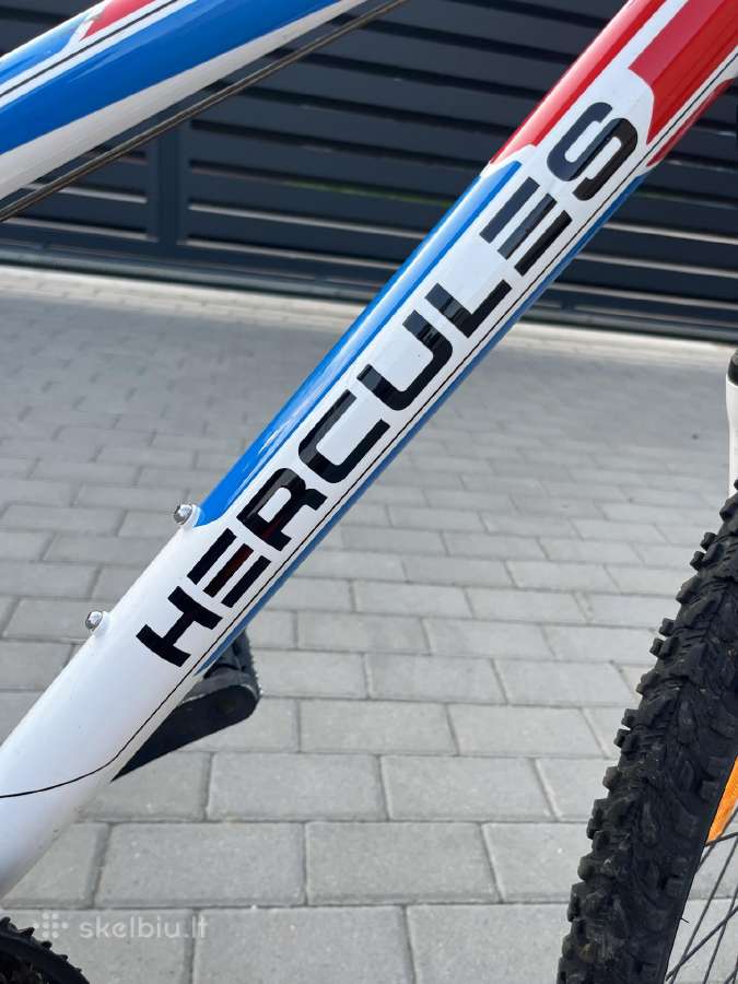 Hercules Sonic 2.6 dviratis - nuotraukos Nr. 6