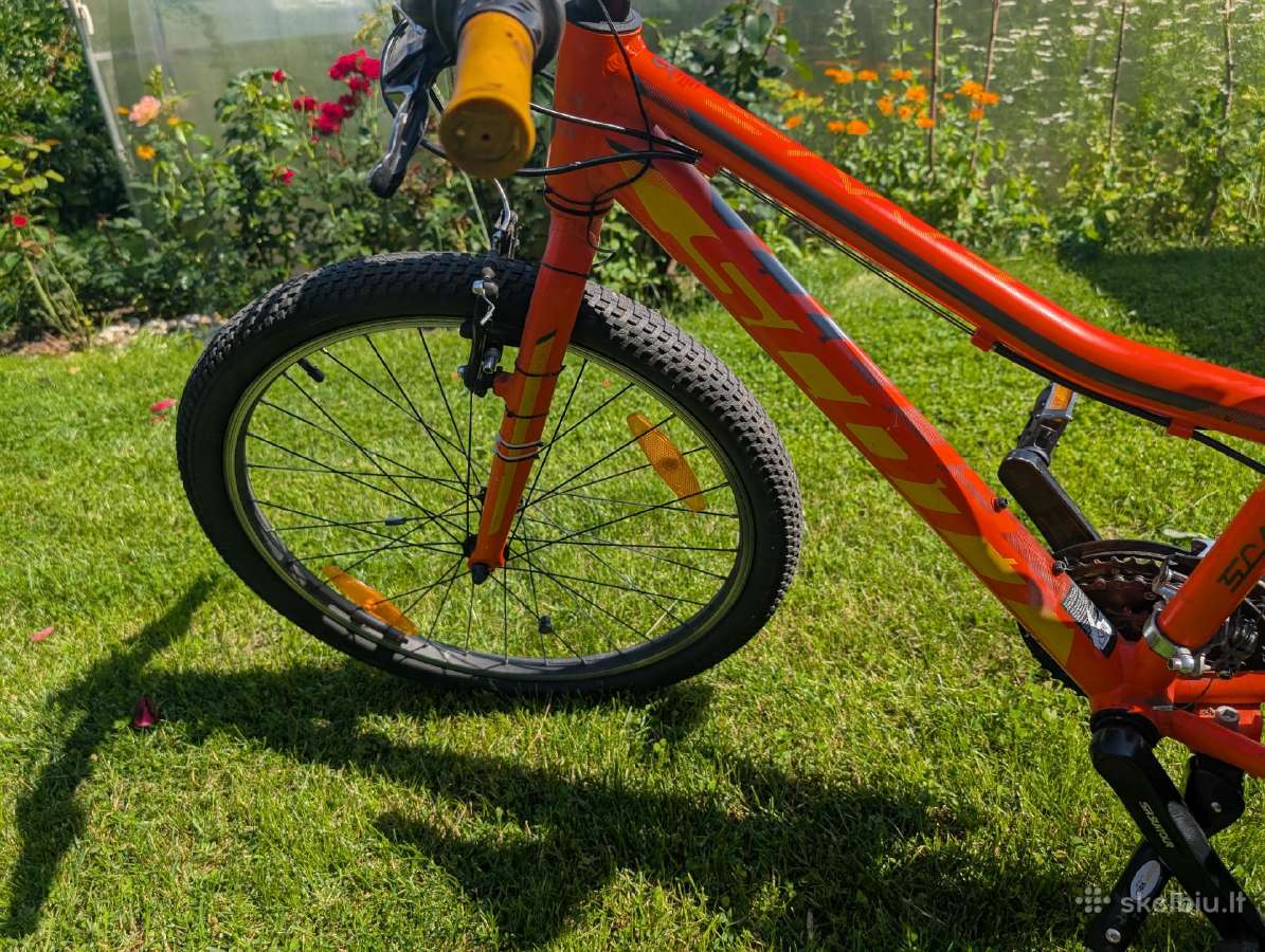 Scott Scale 24" - nuotraukos Nr. 2