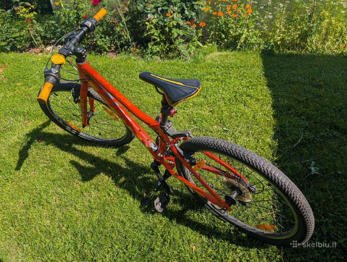 Scott Scale 24" - nuotraukos Nr. 3