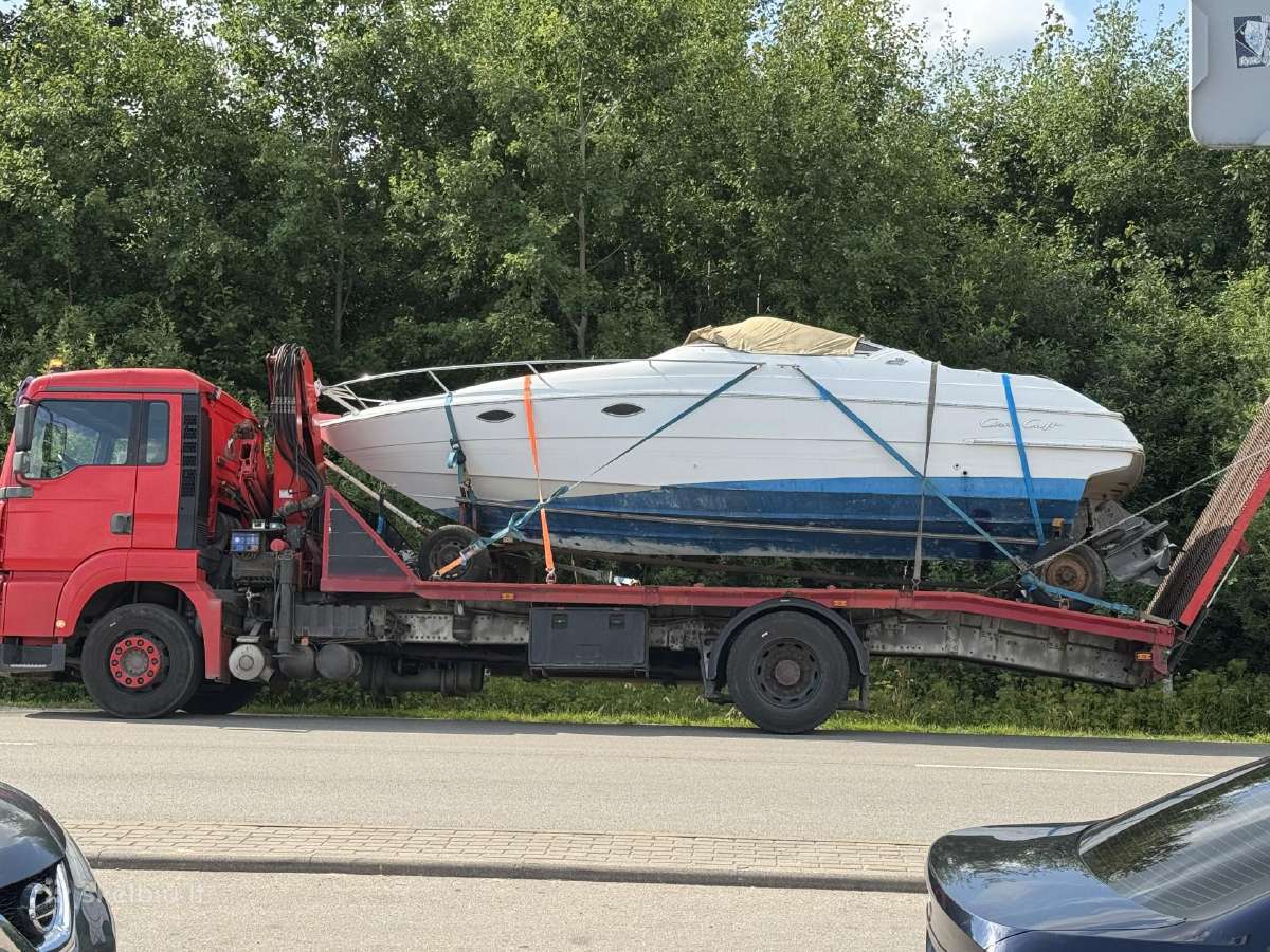 Kroviniu pervežimas, fiskaro, krano nuoma - nuotraukos Nr. 19