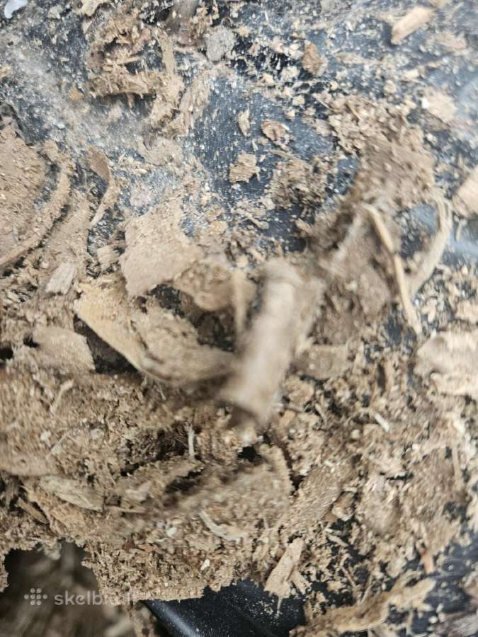 Dovanoju Azuolo drozles-pjuvenas maisuose - nuotraukos Nr. 2