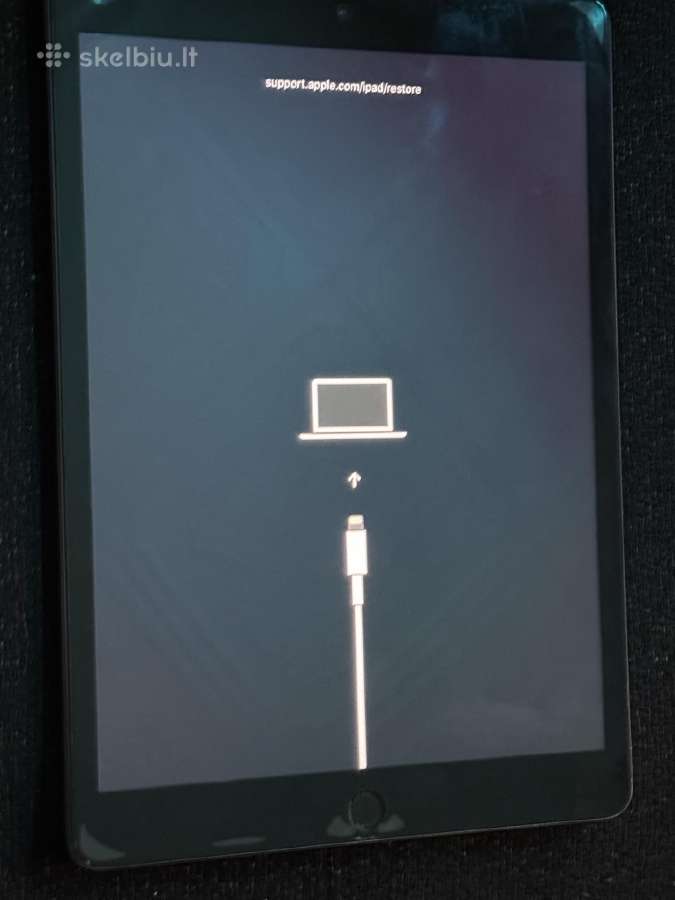 iPad 7 - nuotraukos Nr. 3
