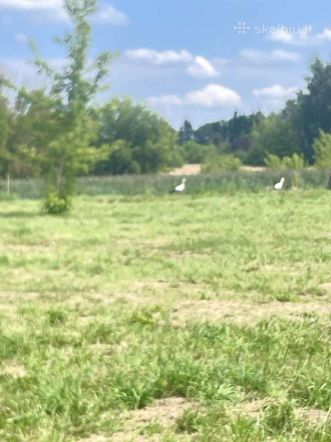 Namai ten, kur teka upė. - nuotraukos Nr. 5