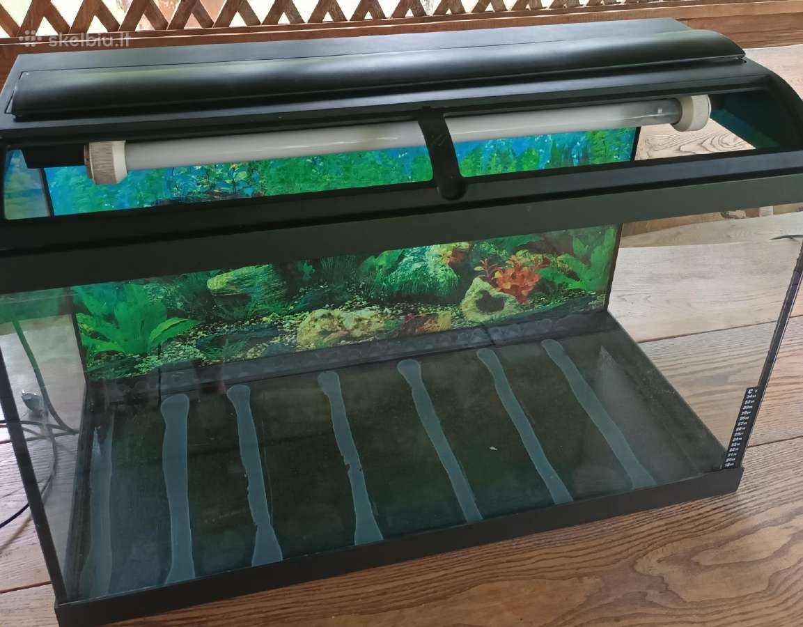 Akvariumas 120 L + spintele - nuotraukos Nr. 5