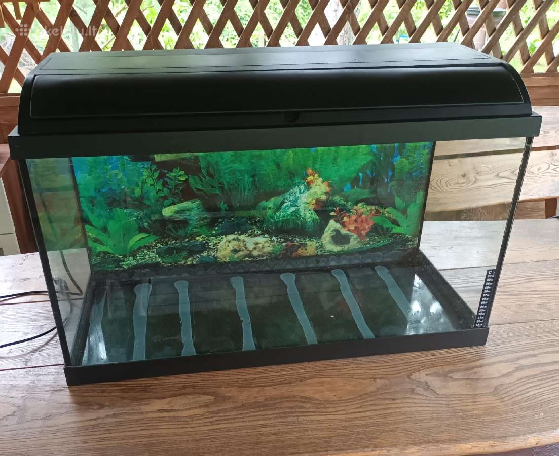 Akvariumas 120 L + spintele - nuotraukos Nr. 4