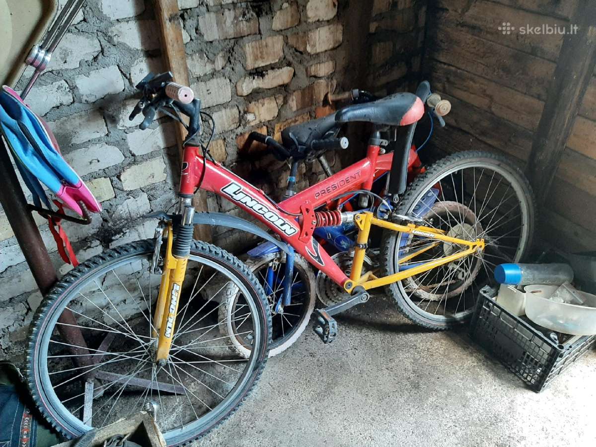 Biėginiai ir Paprasti. Turistinis. Ir Mažiukai - nuotraukos Nr. 2