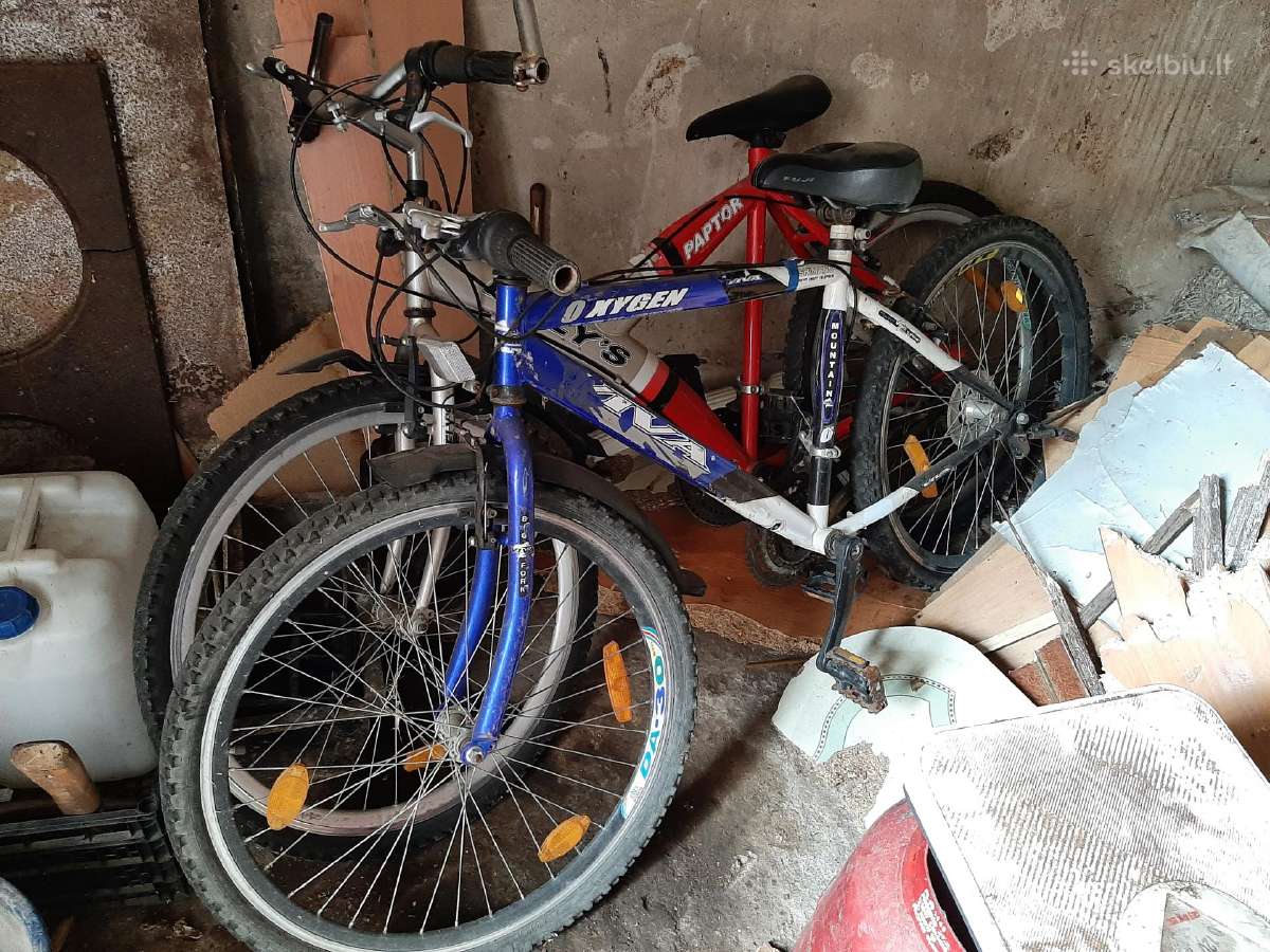 Biėginiai ir Paprasti. Turistinis. Ir Mažiukai - nuotraukos Nr. 3