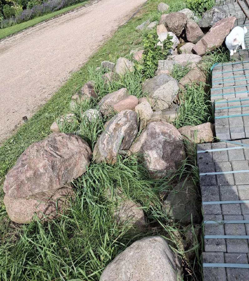 Lauko rieduliai, akmenys - nuotraukos Nr. 4
