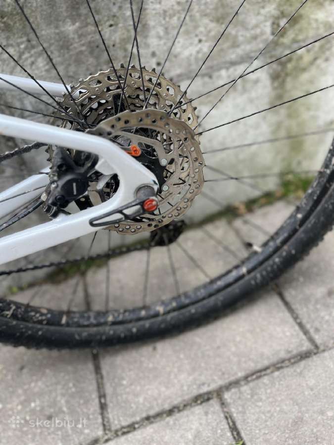 Santa Cruz highball Cc 2022 - nuotraukos Nr. 3
