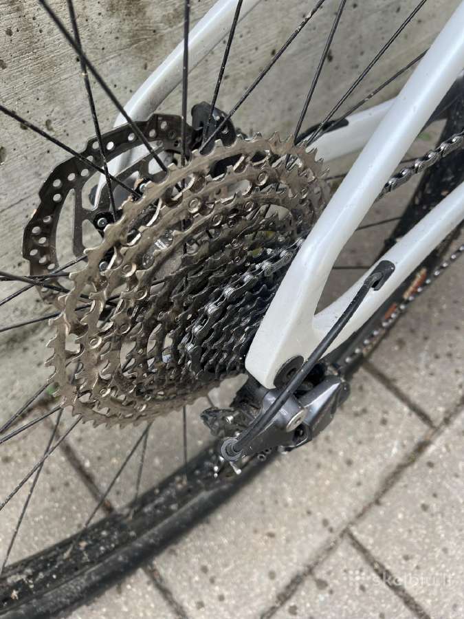 Santa Cruz highball Cc 2022 - nuotraukos Nr. 10
