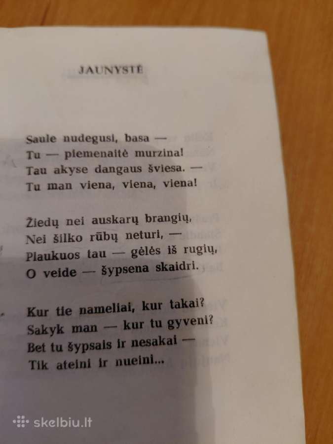 Salomėja Nėris(eilėraščių rinkinys - nuotraukos Nr. 5