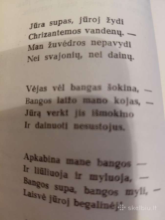Salomėja Nėris(eilėraščių rinkinys - nuotraukos Nr. 6