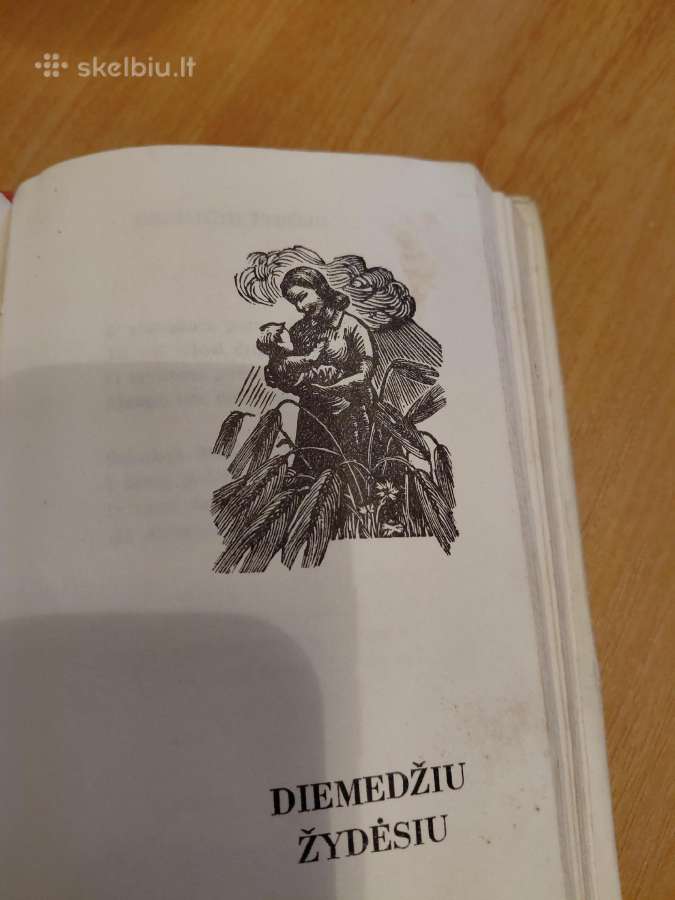 Salomėja Nėris(eilėraščių rinkinys - nuotraukos Nr. 7