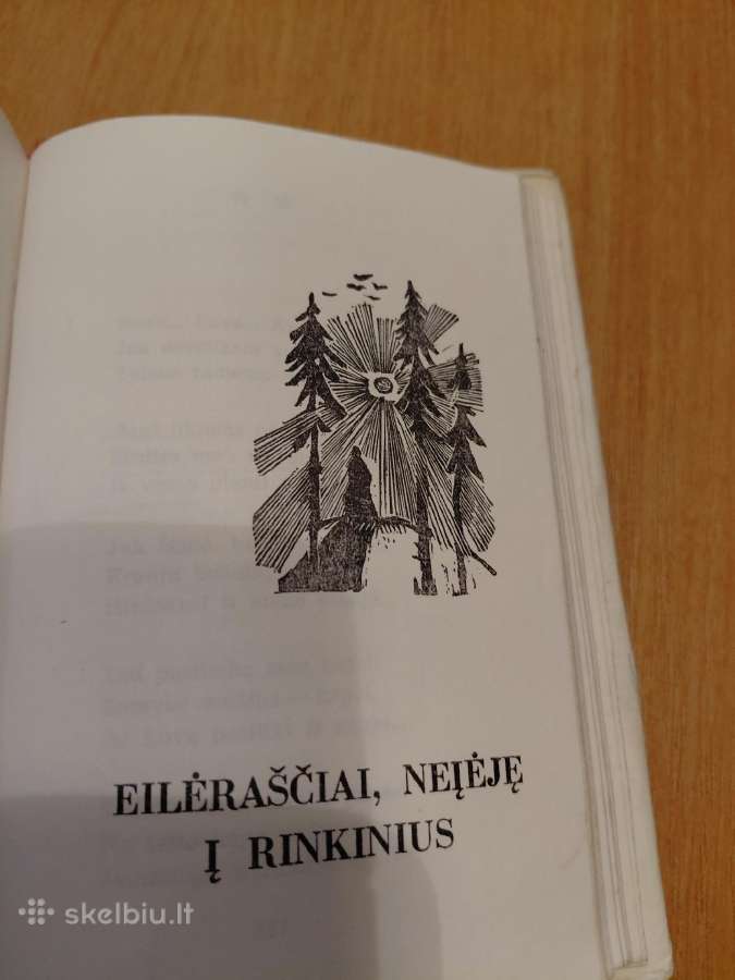 Salomėja Nėris(eilėraščių rinkinys - nuotraukos Nr. 8