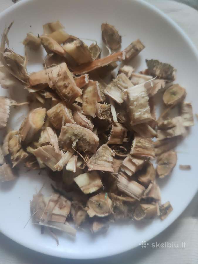 Beržinės vantos - nuotraukos Nr. 17