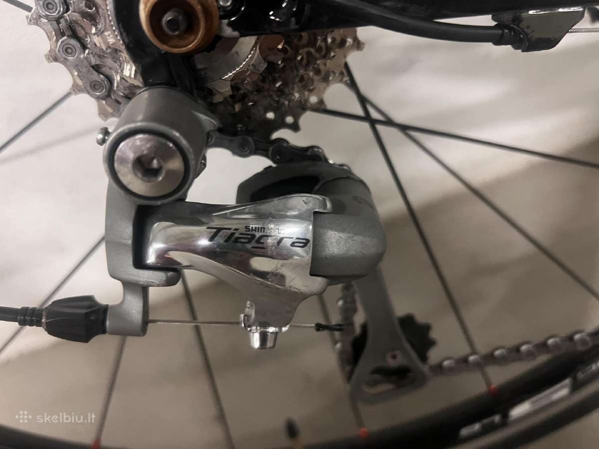 Wilier Triestina (L) full carbon plentinis dvirati - nuotraukos Nr. 4