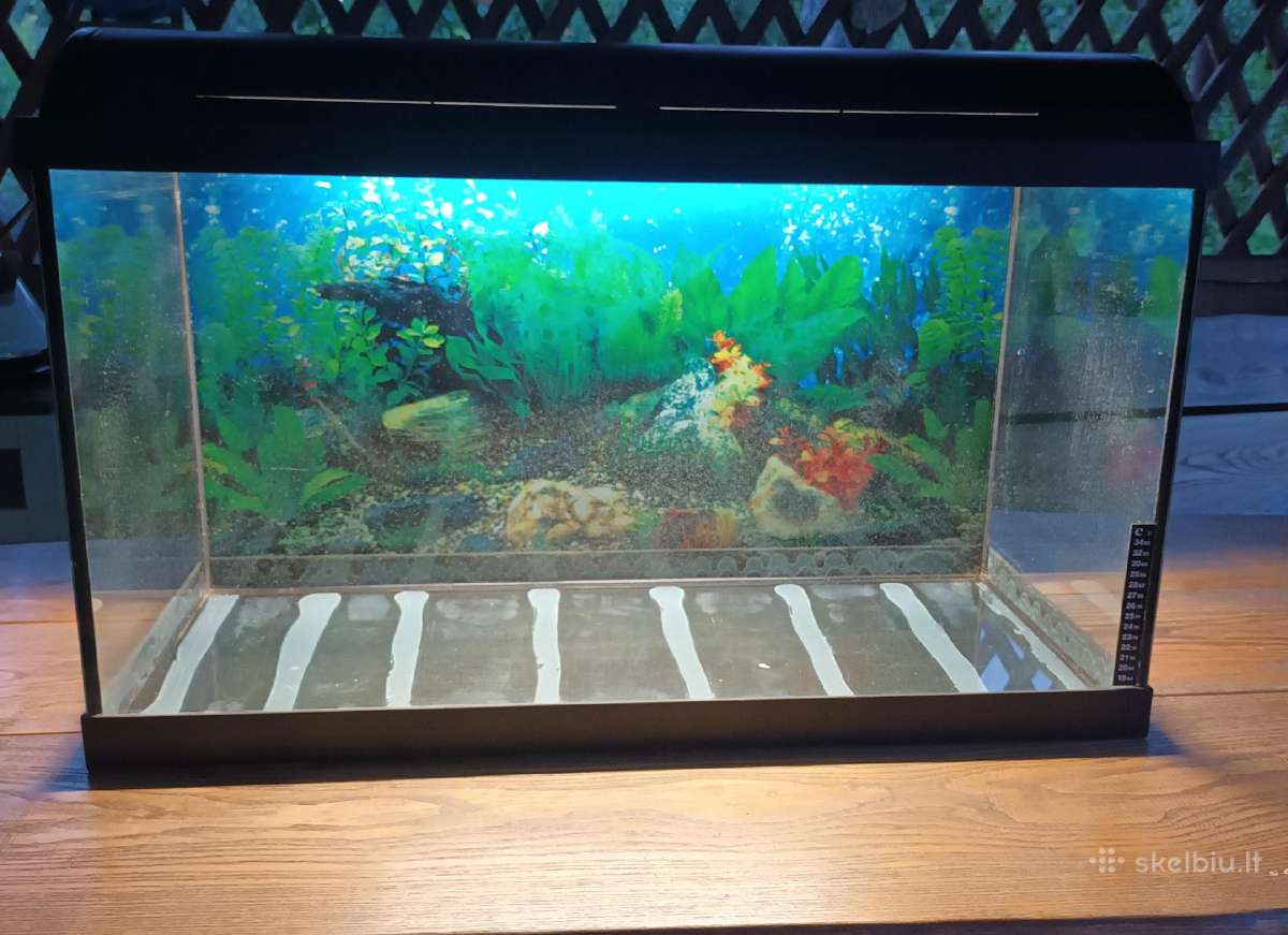 Akvariumas 120 L + spintele - nuotraukos Nr. 3
