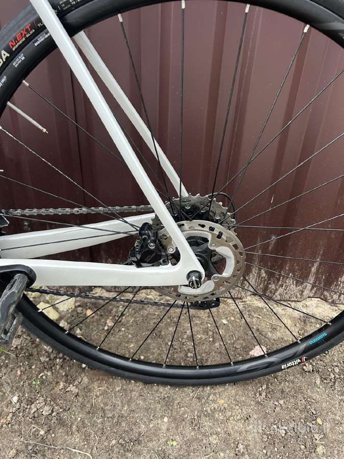 BH carbon rėmas - nuotraukos Nr. 7