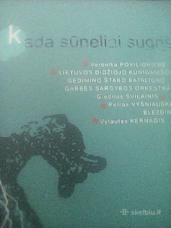 Lietuvos atlikėjų muzikiniai CD diskai, - nuotraukos Nr. 7